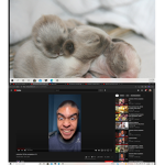 itistimepiggys group