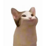 Popcat brothers