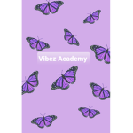 Vibez Academy