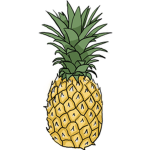 Team Pineapple