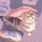 𝘿𝙧𝙚𝙖𝙢𝙨 