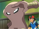 Huge Pokemon Fan Group