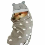 doge ni ma hi