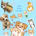 Dogs fans that like corgis