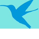 ### BlueJet Airlines