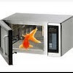 MicrowaveGoldfish Fan Group