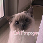 cat fanpages
