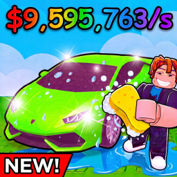 Own a Car Wash