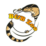 Bzuraboy123 & Bibarelboys Reptiles