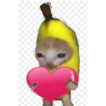 BANANA CAT AND POP CAT