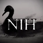 Nights In Hurricane Group Thumbnail