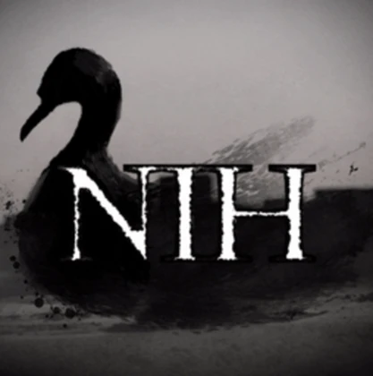 Nights In Hurricane Roblox group icon