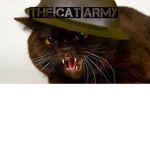 The Cat Millitary