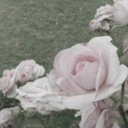 ୨୧