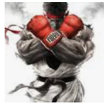 FIGHTING 4DA BOIS