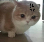 wabisabị