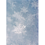 Winter Wonderland!!