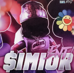 $IMIOR ENT