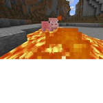 Piggy lava coin fans