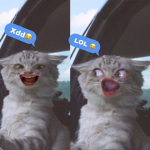 _.roblox.twins._