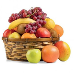 [ THE FRUIT CLAN ]