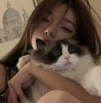 //Kai’s Kittens//