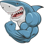 Sharkydarky Studios