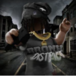 NYC: Bronx District V2