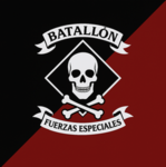 Batallón de Fuerzas Especiales