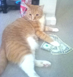 B.A.L.L FFOONNDDLLEERRZZ