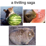 Da oof and thick squad