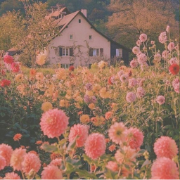 🌼