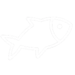 Not Fisching Group Thumbnail