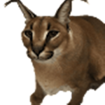 jaspertopil