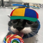 maow!
