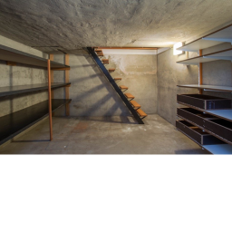 the basement