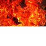 #Eqzq fire squad