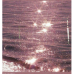 HxneyStars