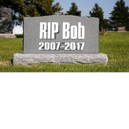 Bob Tribute ;( [Read Description]