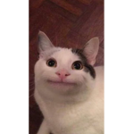 TheCatWorld:3