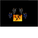 F.V.C ( Fire V Clan )