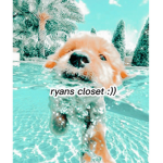 ryan’s closet :))