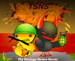 The Strategy Novice Server