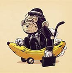 Jungle Monkey's