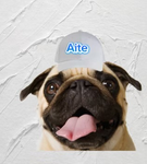 AitePug
