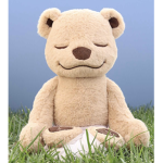 Teddy bear buddy’s