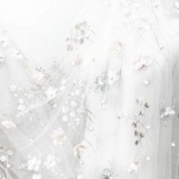 ୨ৎ