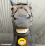Robux Donaters!!