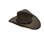 Cowboy Hat