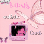 Pink butterflys4cheer